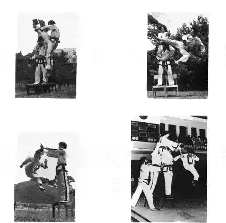 ITF Destruction Image 3