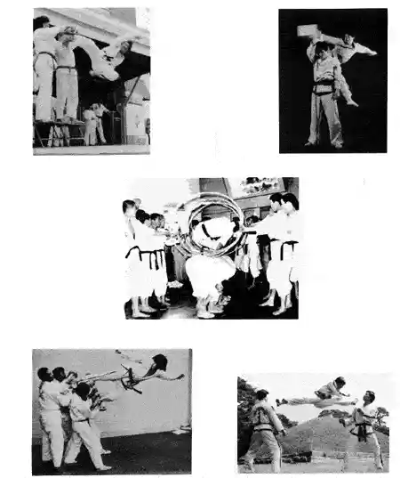 ITF Destruction Image 4